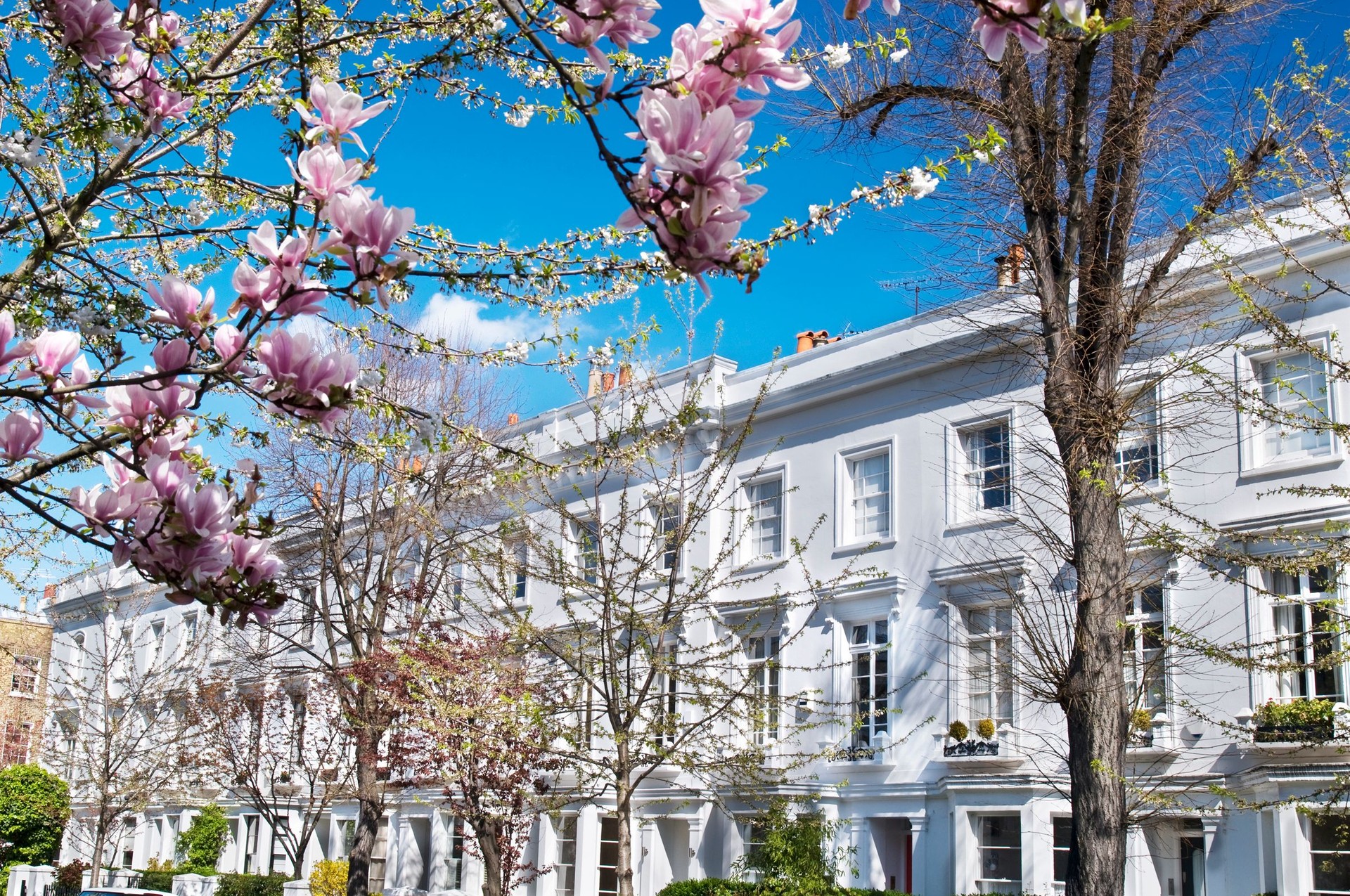 Luxury terraced houses at West-London.